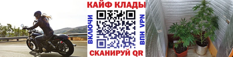Наркошоп купить А ПВП  Меф мяу мяу  ЭКСТАЗИ  Конопля  Cocaine  ГАШИШ  Александров