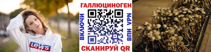 Купить  Александров  Псилоцибиновые грибы ЛСД 